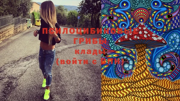 СК Алексеевка