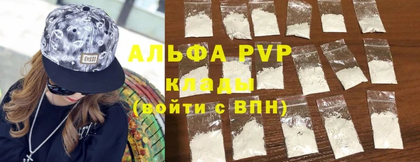 индика Гусь-Хрустальный